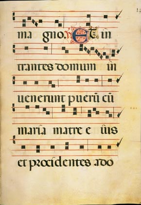 page279 image