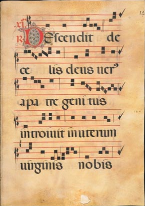 page291 image