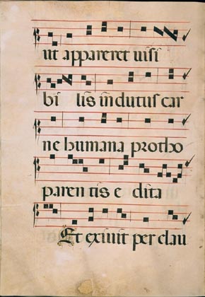 page292 image
