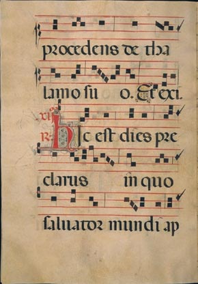 page294 image
