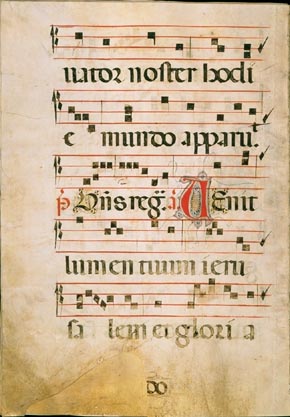 page304 image