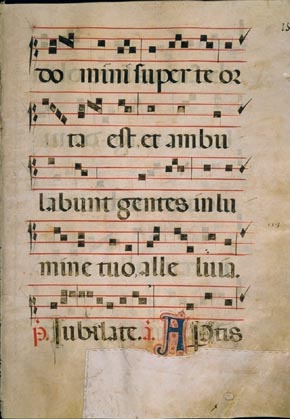 page305 image
