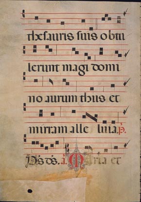 page306 image