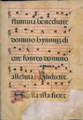 page307 image