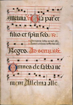 page313 image