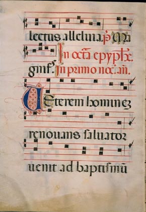 page336 image