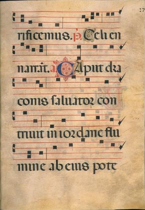 page339 image