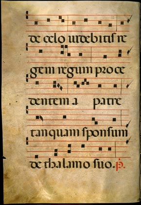 page6 image